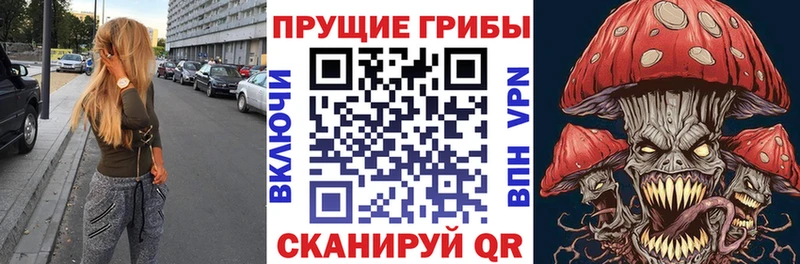 Псилоцибиновые грибы Cubensis Кузнецк
